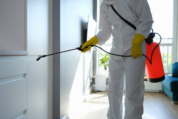 Biohazard Mold Removal in Kempner, TX