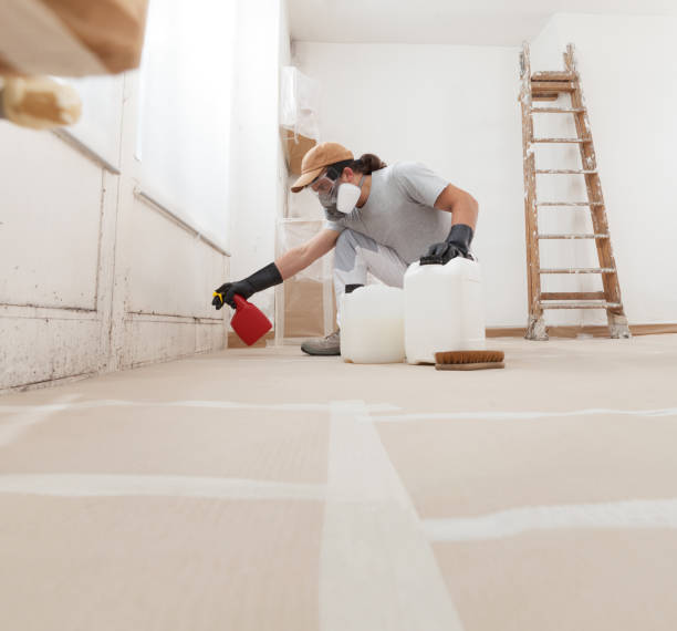 Best Mold Odor Removal Services  in Kempner, TX